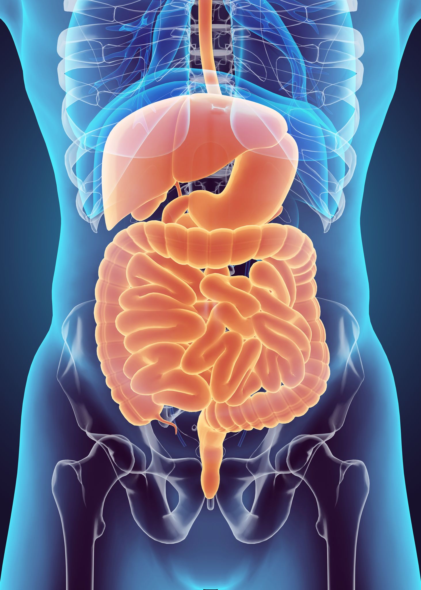 understanding-the-link-between-bronchitis-and-side-pain-medshun